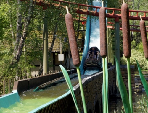 Maya splash